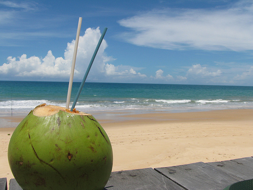 Os benefícios da água de coco